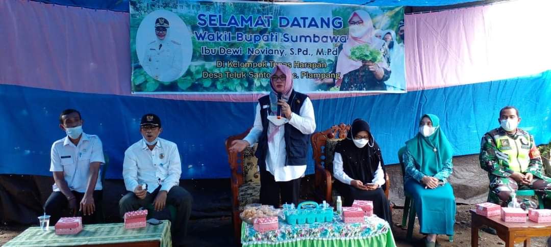 KUNJUNGAN LAPANGAN WAKIL BUPATI SUMBAWA PADA KELOMPOK PANGAN LESTARI (P2L) KECAMATAN PLAMPANG