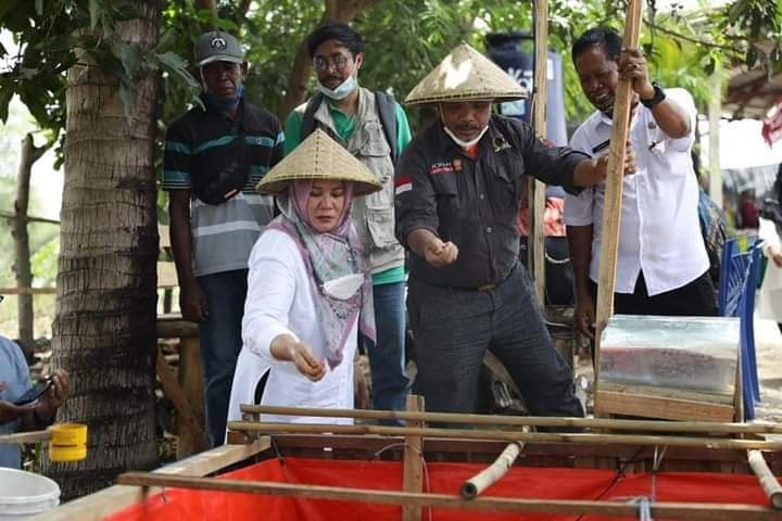 WAKIL BUPATI SUMBAWA KUNJUNGI LOKASI P2L GEMILANG BERSAMA, DESA MARONGE MENDAPAT KEJUTAN DARI MASYARAKAT