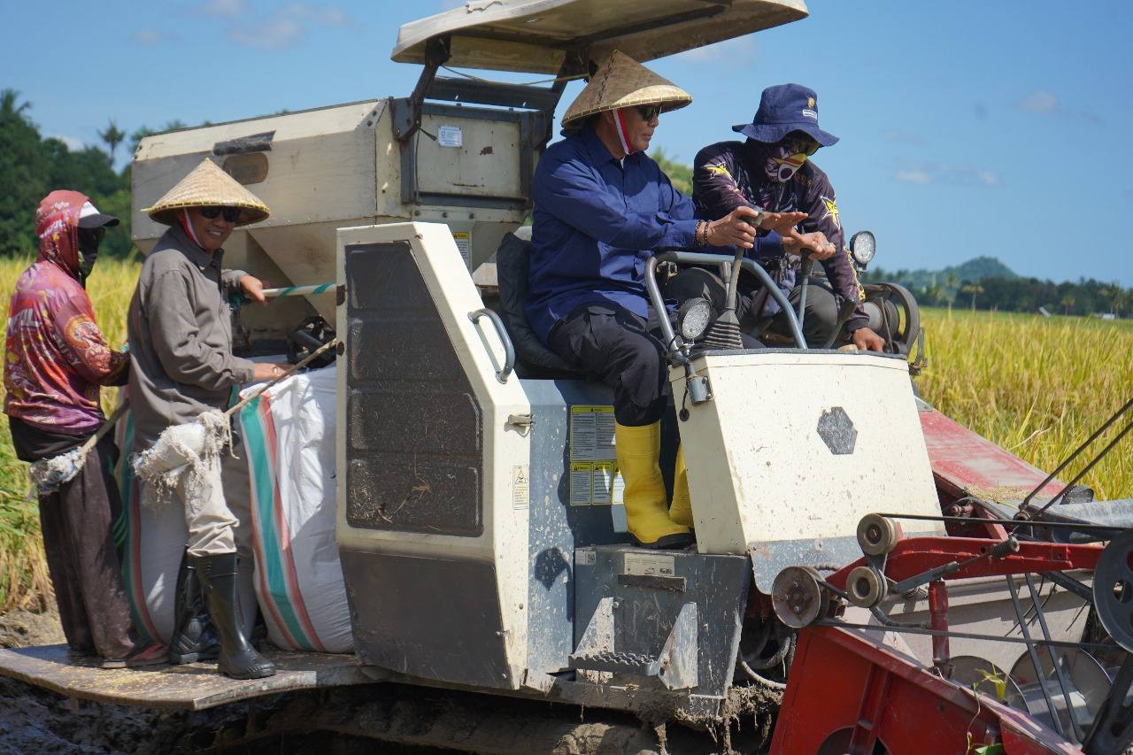 Bupati dan Wakil Bupati Sumbawa Hadiri Panen Raya Padi Serentak di Desa Kakiang