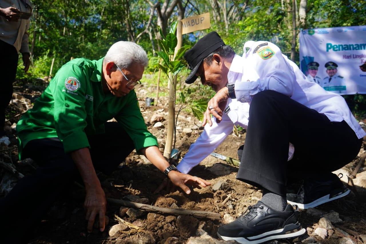 Wakil Bupati Sumbawa Tanam 1000 Pohon Peringati Hari Lingkungan Hidup Sedunia 2025