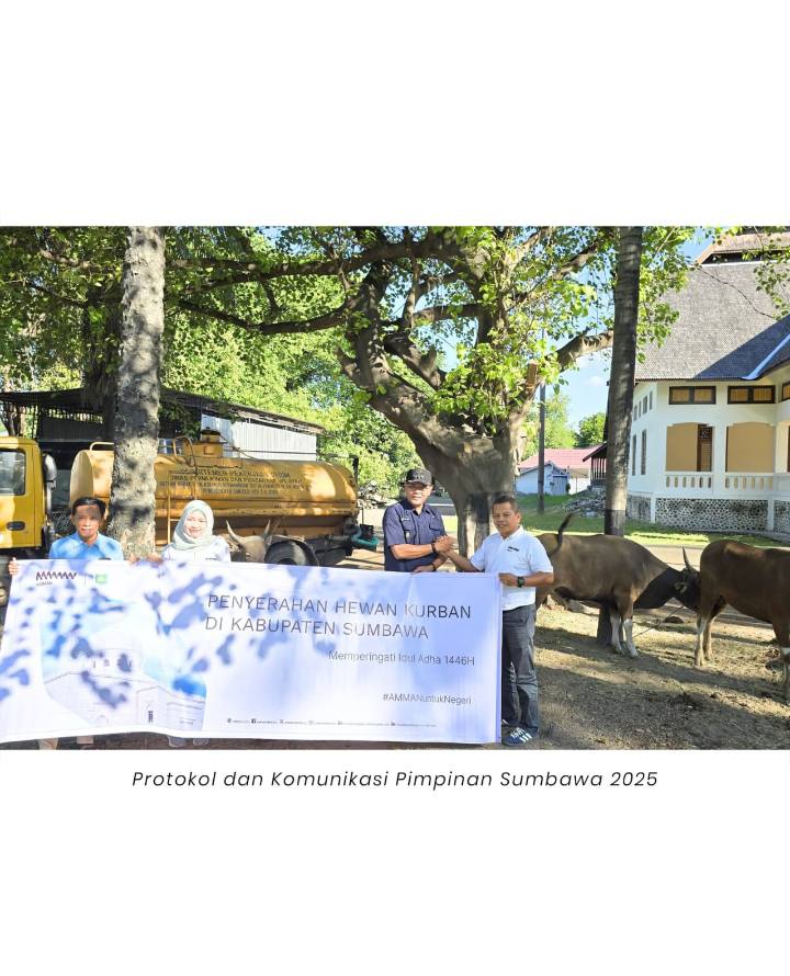 Pemkab Sumbawa Terima Bantuan Hewan Kurban dari PT. Amman Mineral Nusa Tenggara (AMNT)