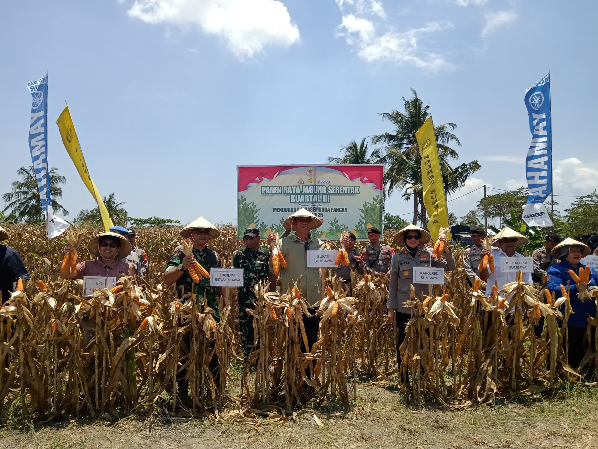 Panen Raya Jagung Serentak Kuartal III: Wujud Komitmen Sumbawa Menuju Swasembada Pangan 2025
