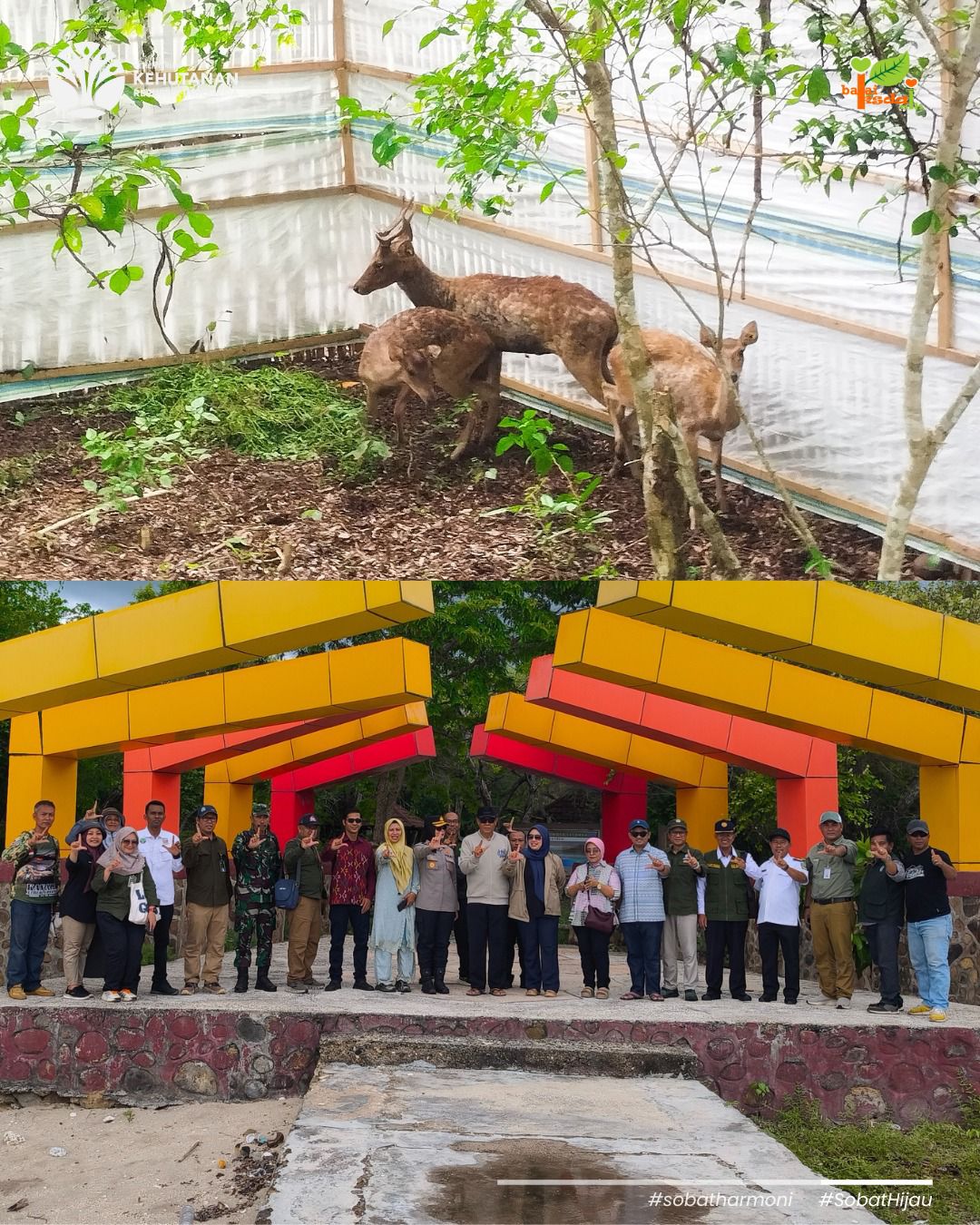 RUSA BERKEMBANG BIAK DI PULAU MOYO, BUKTI PEMKAB SUMBAWA SERIUS MENJAGA ALAM UNTUK GENERASI MASA DEPAN