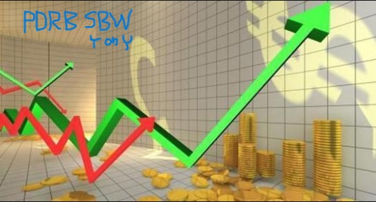 Ekonomi Kabupaten Sumbawa Tetap Tumbuh Positif, Konsumsi Rumah Tangga Jadi Penopang Utama