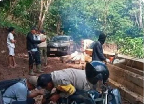 Menyelamatkan Batulanteh, Menyelamatkan Masa Depan Sumbawa: Dukungan Mengalir untuk Langkah Tegas Pemkab Berantas Illegal Logging