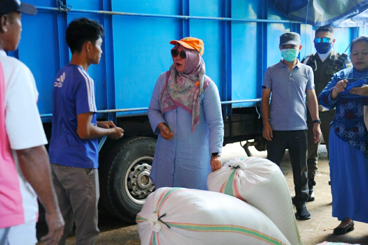 Pemkab Terus Cari Solusi Agar Harga Gabah Stabil Kembali 