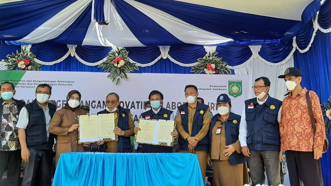 PEMKAB  SUMBAWA DAN  PUSLITBANGTAN TANDA TANGANI  PERJANJIAN KERJASAMA RIPK KAWASAN INTEGRASI JAGUNG--SAPI