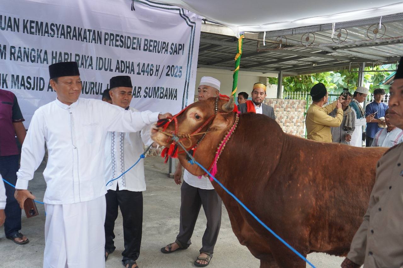 Presiden RI Serahkan Bantuan Sapi Kurban untuk Kabupaten Sumbawa, Wakil Bupati Hadiri Zoom Meeting Nasional