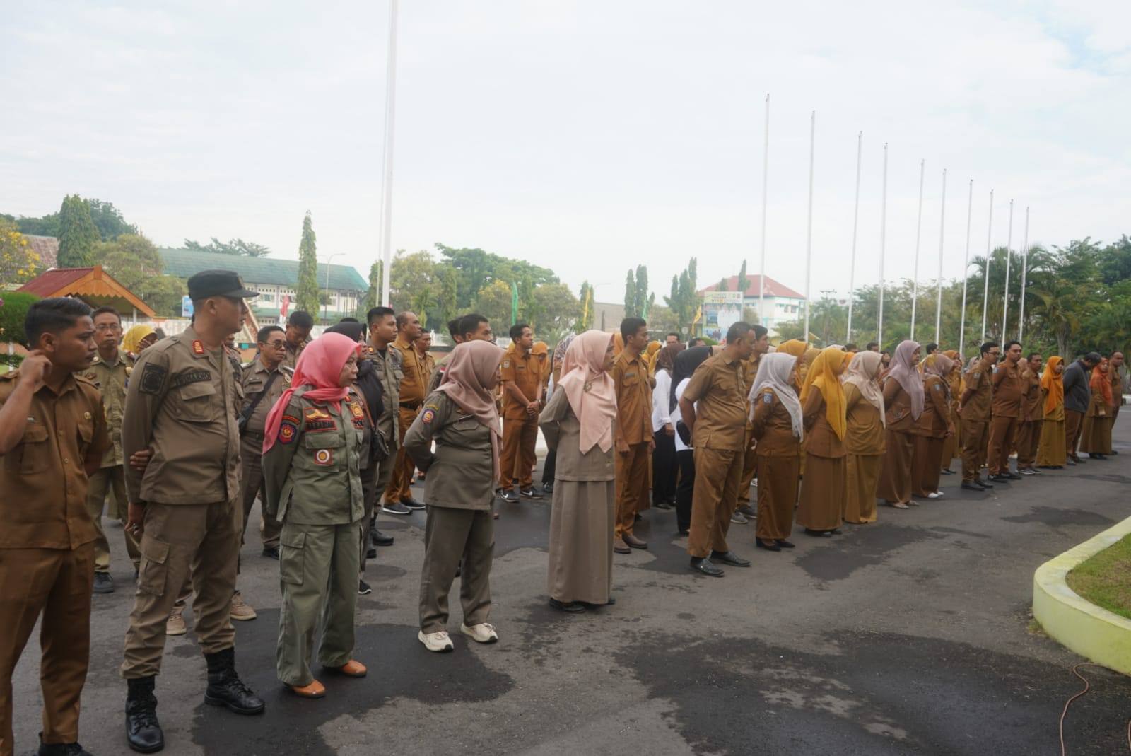 Bupati Sumbawa Lepas Lobster Budidaya: Komitmen untuk Ekologi Laut dan Ketahanan Pangan