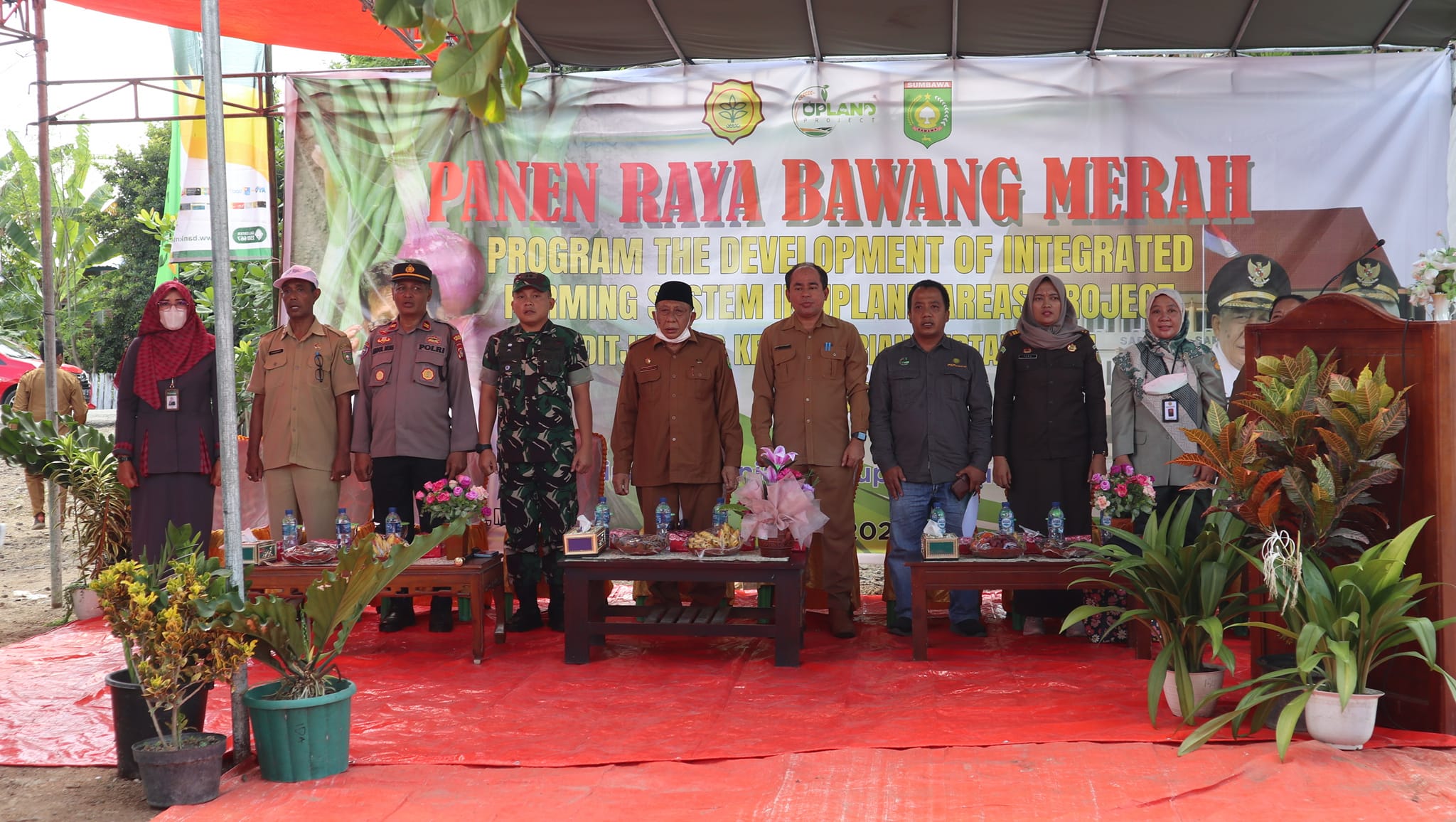Panen Raya Bawang Merah Kelompok Tani Parak Olat Desa Brang Kolong Kec. Plampang Program Upland Ditjen PSP Kementan RI