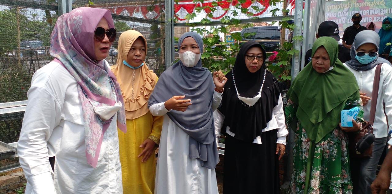 KUNJUNGAN WAKIL BUPATI SUMBAWA KE P2L DESA PEMASAR KEC. MARONGE 