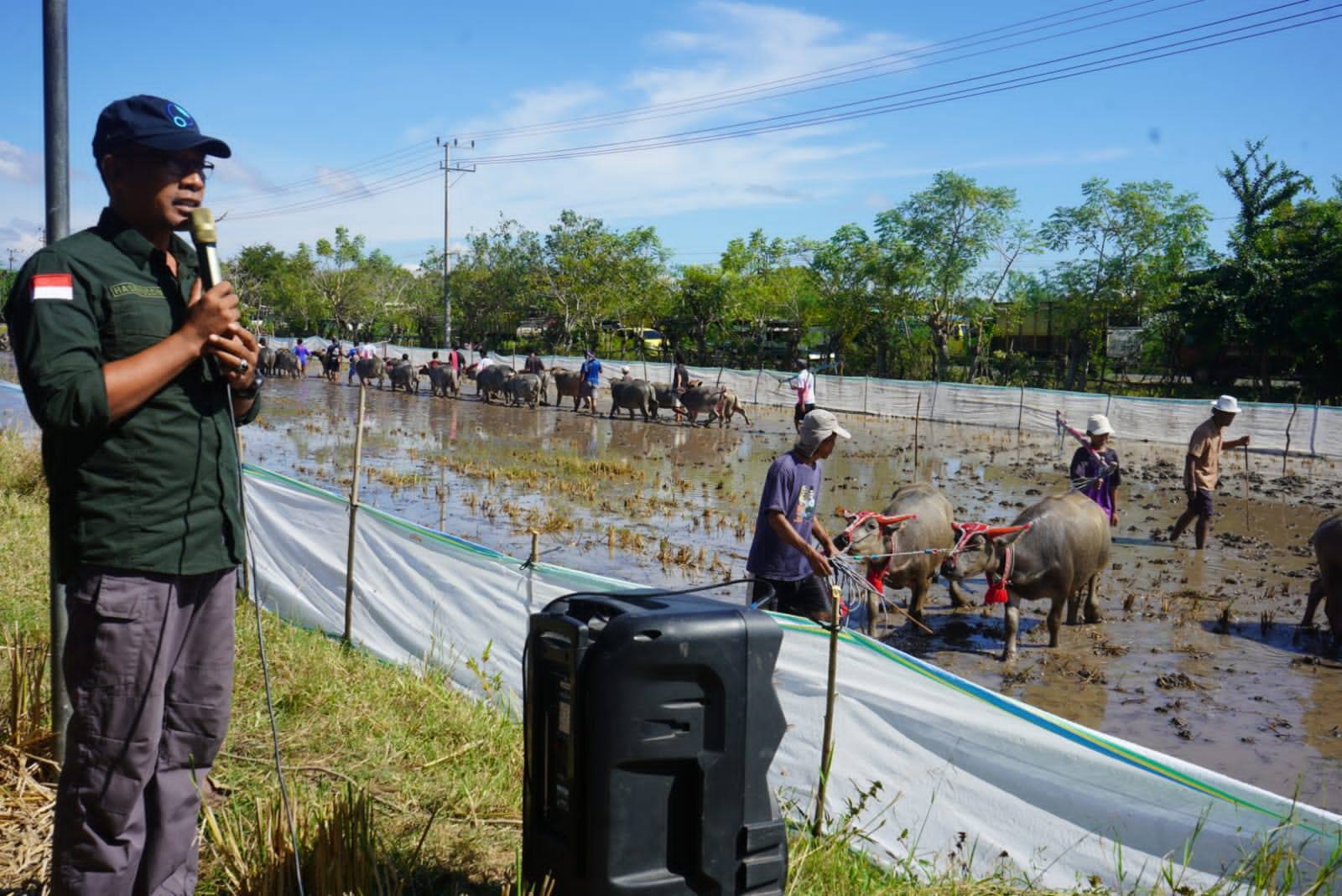 Bupati Sumbawa Apresiasi Pelaksanaan Barapan Kebo dalam Rangka HUT Desa Lamenta ke-21