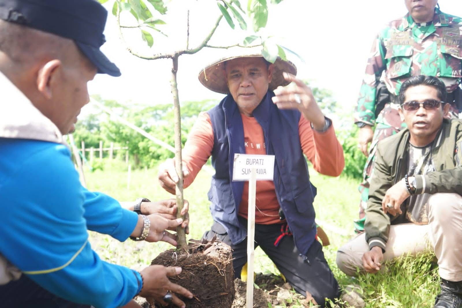Menjaga Hutan, Menjaga Kehidupan: Dukungan Masyarakat Menguat untuk Program Sumbawa Hijau Lestari