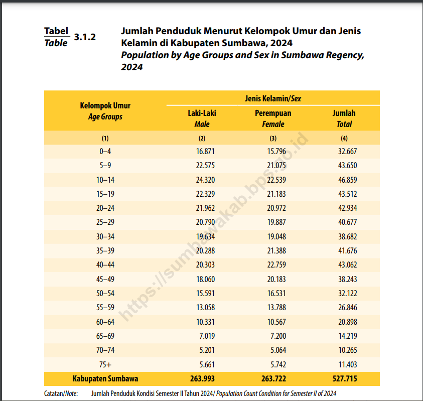 Jumlah Penduduk Menurut Umur dan Jenis Kelamin Tahun 2024